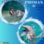 PRIMAX 6 + Parque Xcaret PLUS - Nado con Delfin AVANZADO