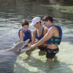 PRIMAX 6 + Parque Xcaret PLUS - Nado con Delfin AVANZADO - Imagen 3