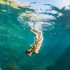 Chichén Itzá Clasico Todo Incluido - Tour de Dia desde Cancun y Playa del Carmen - Imagen 4