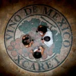 Xcaret Plus TOUR con Transporte - TODO INCLUIDO - Imagen 3