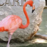 Xcaret Basico TOUR con Transporte Redondo - Imagen 11