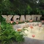 Xcaret Plus TOUR con Transporte - TODO INCLUIDO - Imagen 25