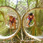 Xcaret Plus TOUR con Transporte - TODO INCLUIDO - Imagen 50