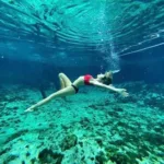 Tulum Casa Tortuga TOUR Instagram 🇲🇽 - Mexicanos - Imagen 9