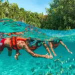 Xcaret Plus TOUR con Transporte - TODO INCLUIDO - Imagen 48