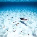 Lancha Transparente en Cozumel 🔥- Clear Boat - Imagen 5