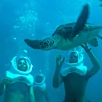 Xcaret Basico TOUR con Transporte Redondo - Imagen 3