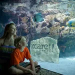 Xcaret Plus TOUR con Transporte - TODO INCLUIDO - Imagen 31