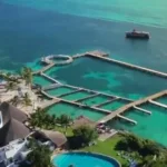 Nado con Delfines 🔥 ISLA MUJERES Infantes Gratis - Imagen 11