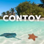 Isla Contoy Economico 🔥+ Isla Mujeres Todo Incluido - Imagen 5