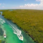 Jungle Tour Cancun Speed Boats - Conduce Tu Lancha Rapida con Snorkel - Imagen 8