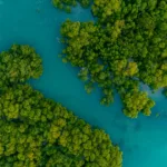 Jungle Tour Cancun Speed Boats - Conduce Tu Lancha Rapida con Snorkel - Imagen 9