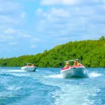 Jungle Tour Cancun Speed Boats - Conduce Tu Lancha Rapida con Snorkel - Imagen 11