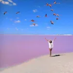 Las COLORADAS y Rio Lagartos Tour de Dia - Imagen 5