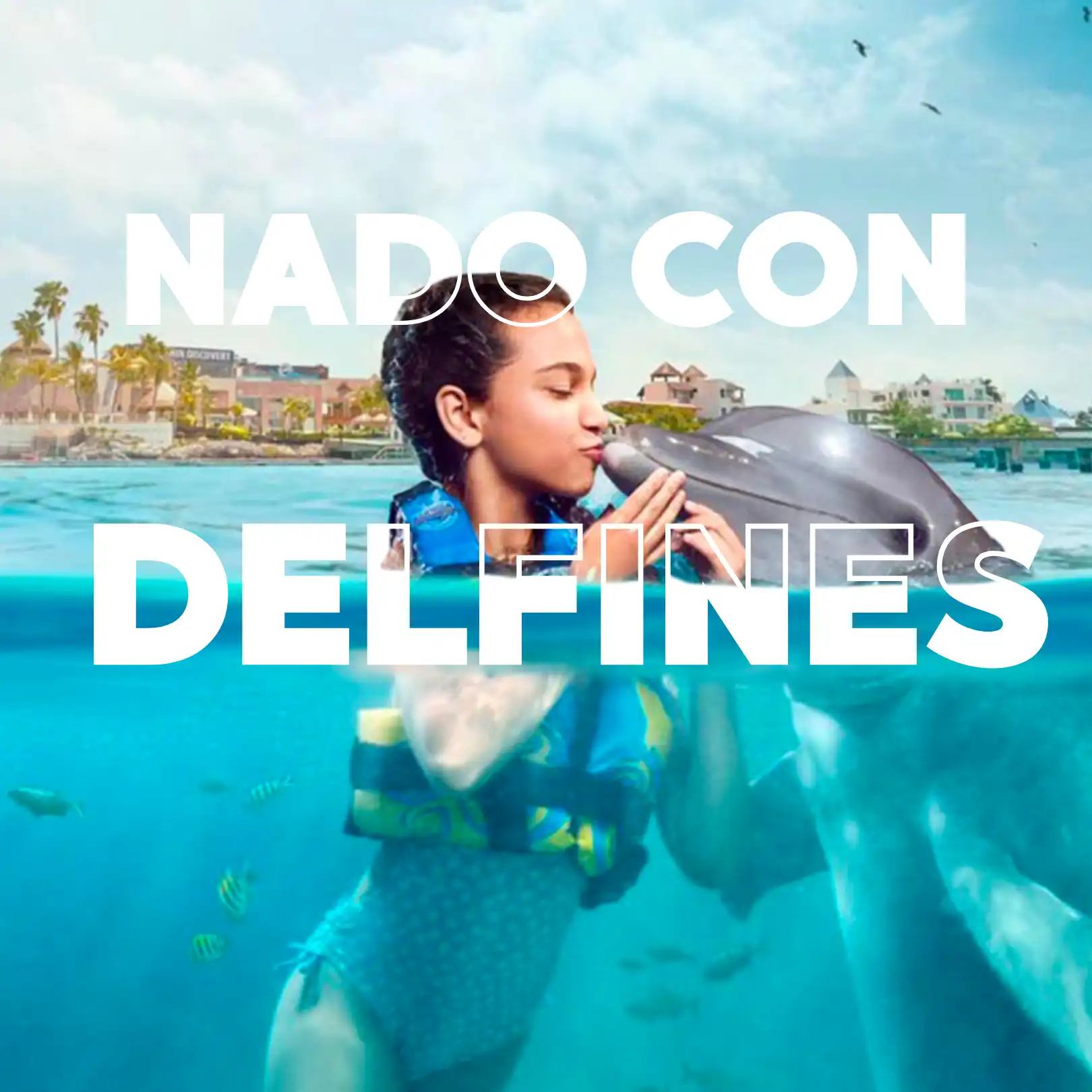 nado-con-delfines-en-la-isla-de-las-mujeres-encuentro-e-interactivo-1-1.webp Nado con Delfines 🔥 ISLA MUJERES Infantes Gratis - Imagen 1