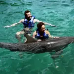 Nado con Delfines 🔥 ISLA MUJERES Infantes Gratis - Imagen 5