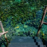 Tulum 4x1 CLASICO 🔥 Cuatro en Uno Dia Todo Incluido 🇲🇽 Mexicanos - Imagen 11