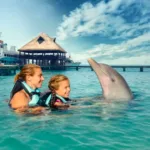 Nado con Delfines 🔥 ISLA MUJERES Infantes Gratis - Imagen 9