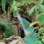 Xcaret PLUS 🔥 con Transporte - Promoción MEXICANOS 🇲🇽 - Imagen 14