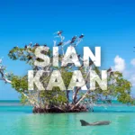 Sian Ka'an + Punta ALLEN - Tour de Dia desde Cancun, Playa Carmen y Riviera  Maya