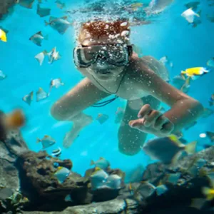 snorkel-esnorquel-en-arrecifes-de-coral-barrera-parque-nacional-isla-mujeres-tour-todo-incluido-1.webp