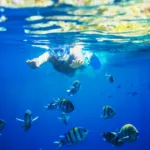 Isla Contoy Economico 🔥+ Isla Mujeres Todo Incluido - Imagen 8