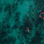 Isla Contoy Economico 🔥+ Isla Mujeres Todo Incluido - Imagen 7