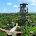 Selvatica AVENTURA en Ruta de los Cenotes + Tirolesas y Cuatrimotos INDIVIDUAL - Imagen 5