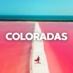 Las COLORADAS y Rio Lagartos Tour de Dia - Imagen 2