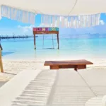 Tour a ISLA MUJERES en Catamaran TODO Incluido 🔥 + CLUB DOLPHIN DISCOVERY - Imagen 4