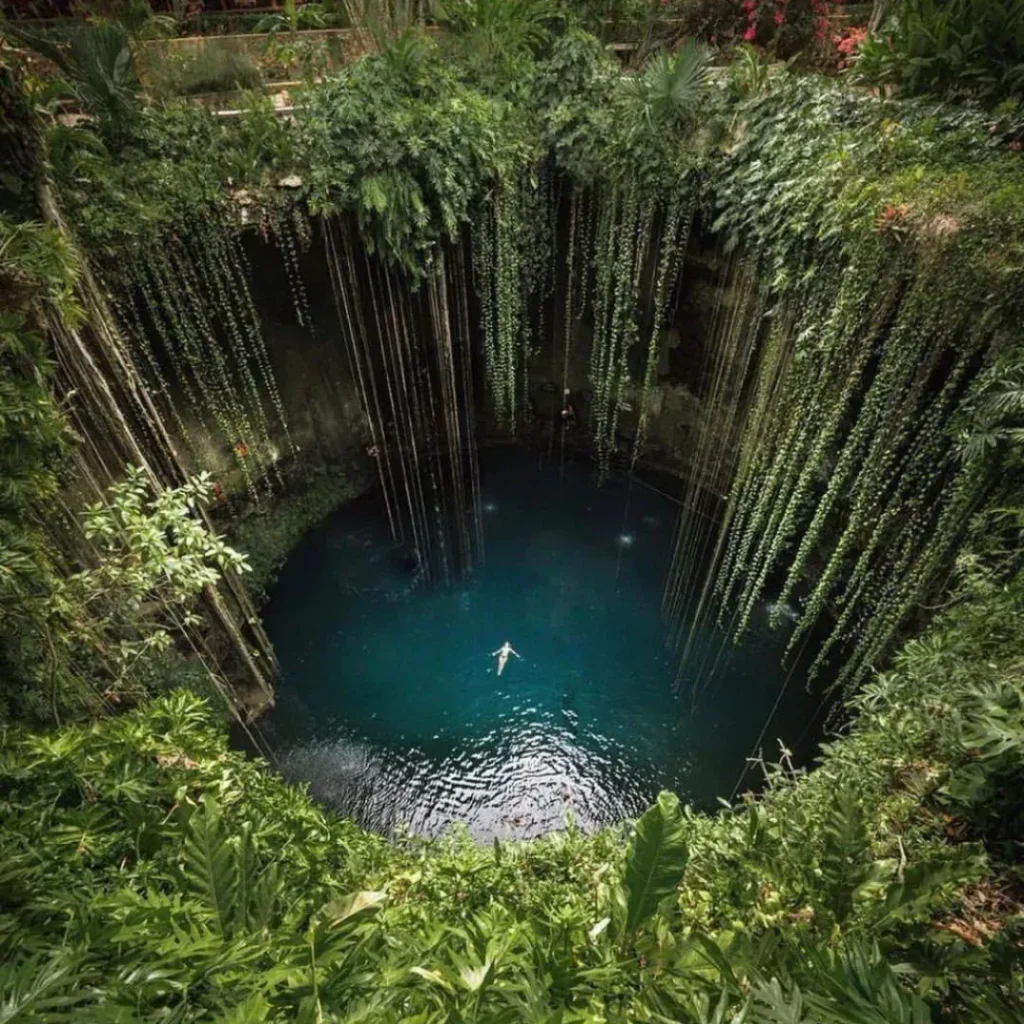 Vista da borda de um cenote aberto com cipós pendendo até a água