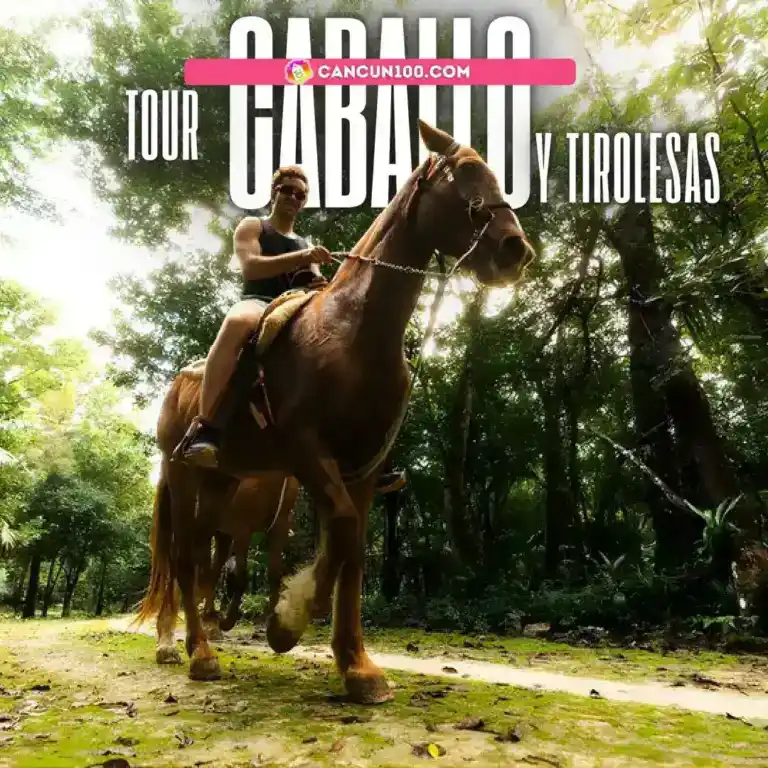 Quadriciclo, cavalos, tirolesa e cenote: Extreme Wild