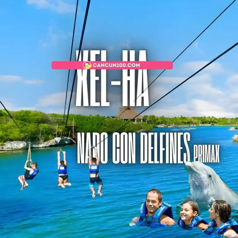 Nado con delfines en Xel-Há: Dolphinclusive