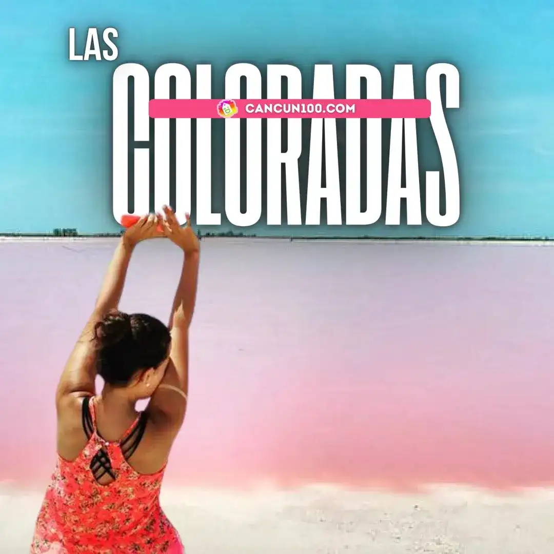 Las Coloradas y Río Lagartos: tour de día