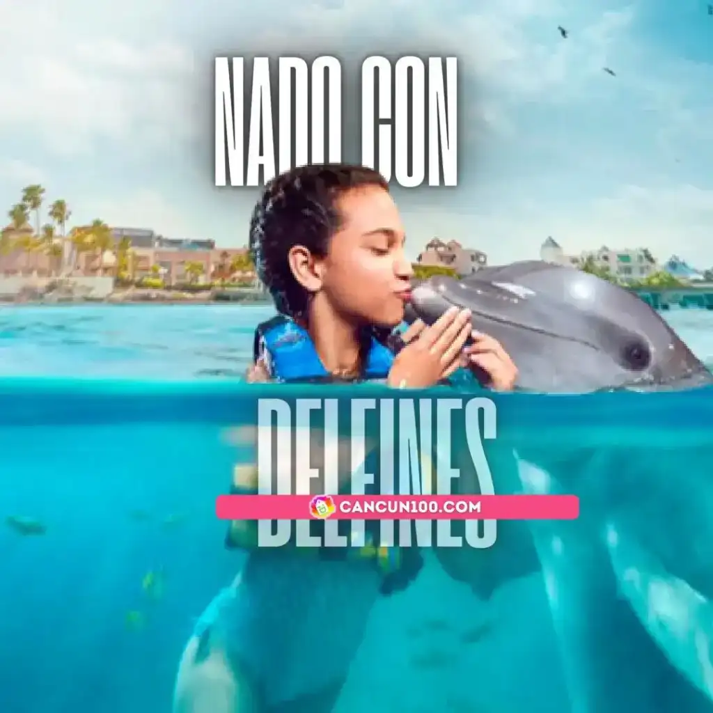 Swim with Dolphins in Riviera Maya: Delphinus
