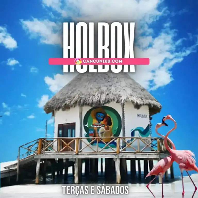 Holbox clássico: passeio de um dia com ferry