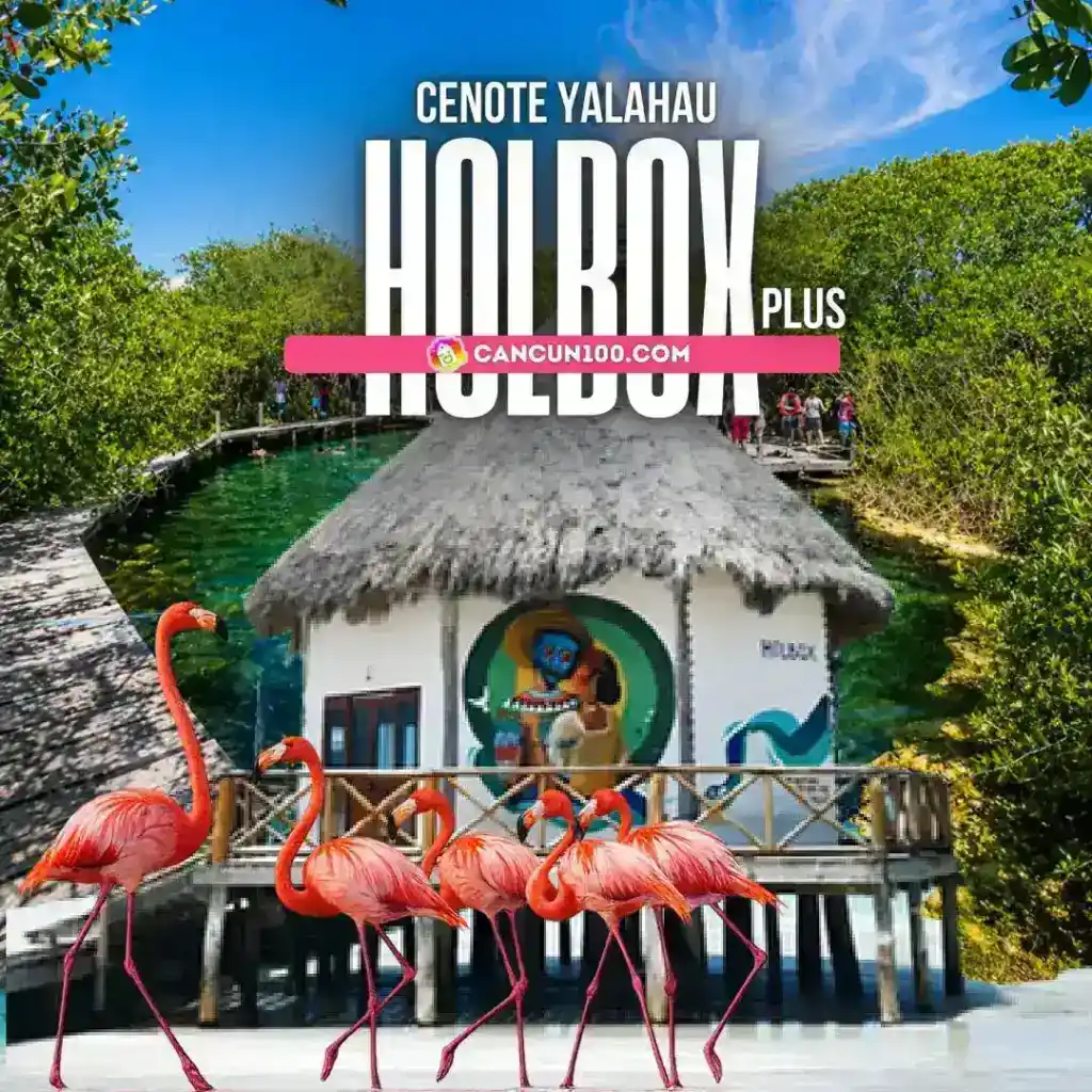 Holbox con cenote Yalahau: tour de día todo incluido