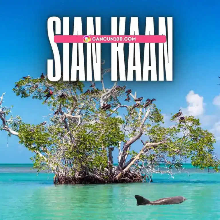 Sian Ka’an e Punta Allen: lancha e passeio