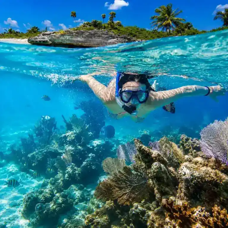 Passeio de snorkel em Cancún
