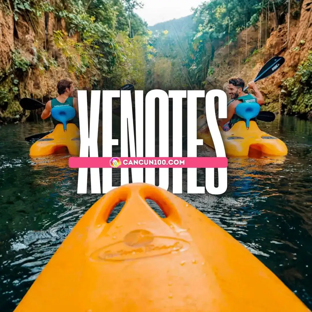 Xenotes con transporte: 4 cenotes de Xcaret