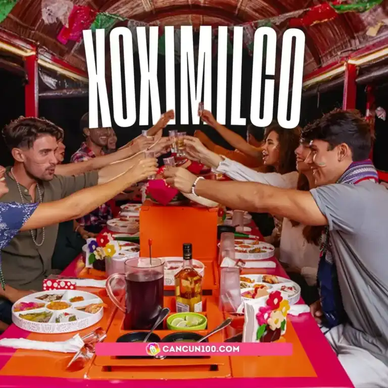 Xoximilco con transporte: trajineras, música y cena