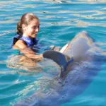 Parque Garrafón Encuentro Nacional con Delfín - Imagen 2