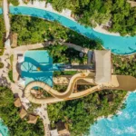 Jungala Beyond - Imagen 3