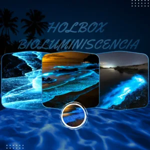 Holbox Bioluminiscencia Tour COMPLETO