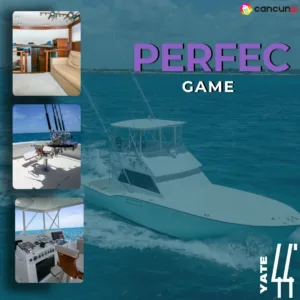 PERFECT GAME 44FT
