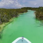 Sian Ka'an + Punta ALLEN - Tour de Dia desde Cancun, Playa Carmen y Riviera  Maya - Imagen 4