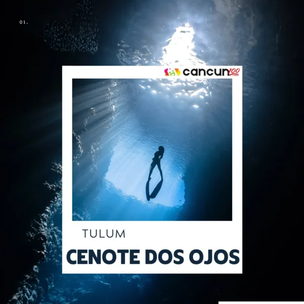 Tulum + Cenote Dos Ojos + Gran Cenote en un día