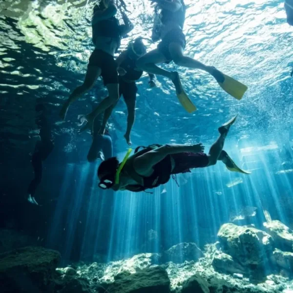 Tulum + Cenote Dos Ojos + Gran Cenote en un día