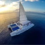 Cielo Cozumel en Catamaran sin transporte Extranjero - Imagen 2