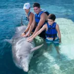 Royal Swim Nado con Delfines ISLA MUJERES - Avanzado - Imagen 3